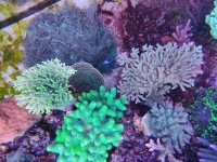 IMG_20230514_095316.jpg