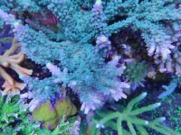 IMG_20230514_095138.jpg
