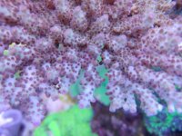 IMG_20230514_094814.jpg