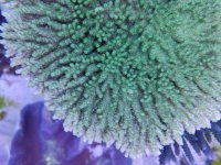 IMG_20230514_094854.jpg