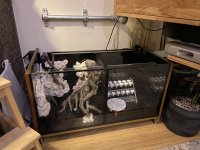 IMG_1806.jpeg