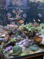 IMG_1888.jpeg