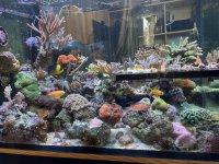 IMG_1890.jpeg