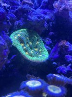 IMG_0221.jpeg