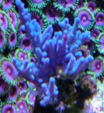20230118_150221~2.JPG 20230118_150221~2.JPG