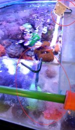 20230713_184223.jpg 20230713_184223.jpg