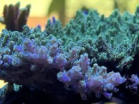 IMG_3013.JPG
