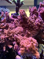 IMG_3016.JPG