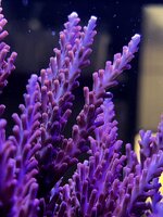 IMG_3015.JPG