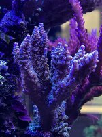 IMG_3028.JPG