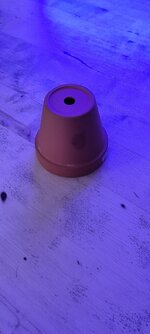 20230812_192634.jpg