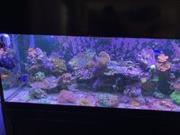 IMG_6226.jpeg