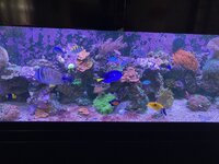 IMG_6225.jpeg