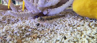20230816_121621.jpg