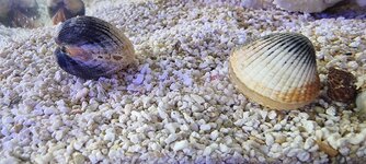 20230816_121627.jpg