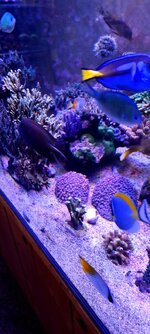 20230816_193206.jpg
