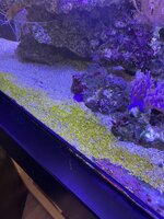 IMG_7745.jpeg