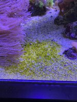 IMG_7746.jpeg