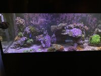 IMG_6353.jpeg