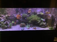 IMG_6351.jpeg