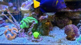 20230902_112136~2.JPG