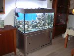 Afbeelding 8987940.jpg