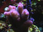 RSCN9771.jpg
