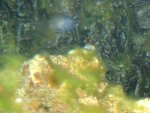 DSC00316.JPG