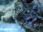 DSC00317.JPG