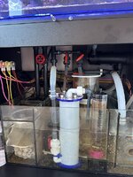 IMG_4540.jpeg
