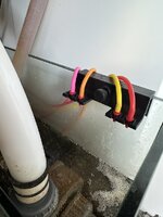 IMG_4544.jpeg IMG_4544.jpeg