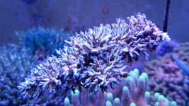 20230919_161940.jpg