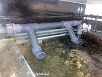 IMG_6881.jpeg