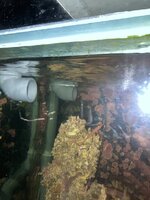 IMG_6884.jpeg