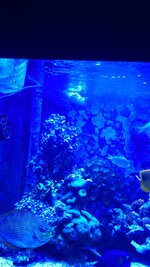 45D859DA-EB01-4CB5-9A5D-D208D6D74E39.jpeg
