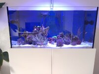 IMG_20230923_105248.jpg