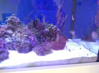 IMG_20230923_105257.jpg
