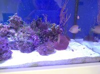 IMG_20230923_105258.jpg