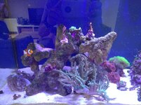 IMG_20230923_105308.jpg