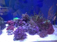 IMG_20230923_105313.jpg