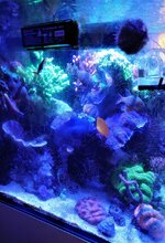 DSC_0272~2.JPG DSC_0272~2.JPG