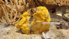 20230925_003244.jpg