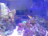IMG_20230925_094712.jpg