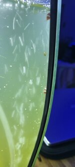20230925_210103.jpg