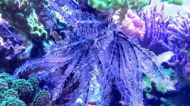 20231003_121519.jpg