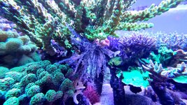 20231003_121453.jpg
