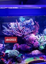 20231005_184753.jpg