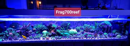 20231005_192323.jpg 20231005_192323.jpg