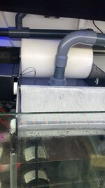 98A74787-0D40-4955-A74F-E15404714518.jpeg