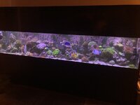 IMG_7155.jpeg
